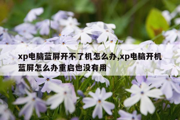 xp电脑蓝屏开不了机怎么办,xp电脑开机蓝屏怎么办重启也没有用