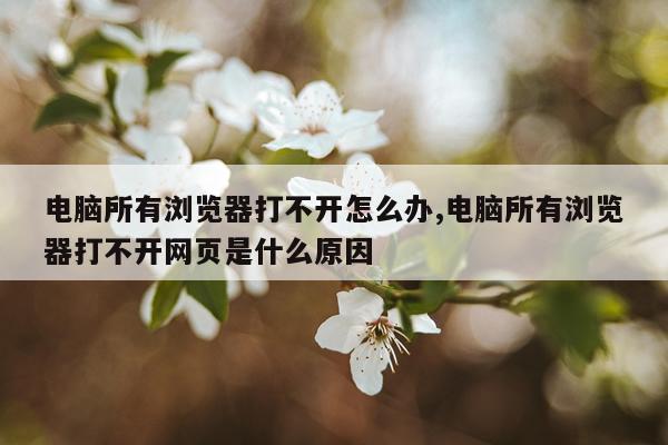 电脑所有浏览器打不开怎么办,电脑所有浏览器打不开网页是什么原因
