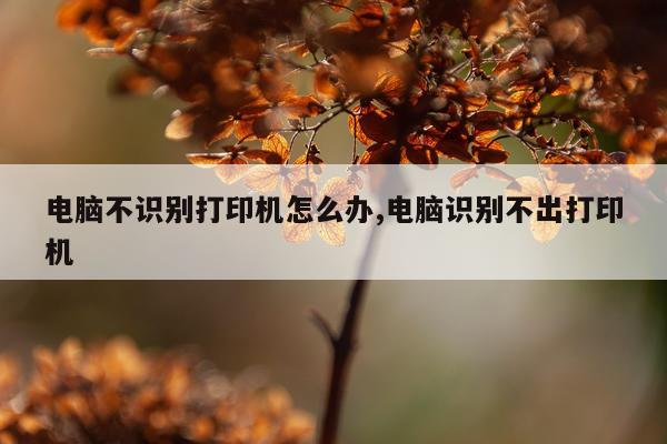 电脑不识别打印机怎么办,电脑识别不出打印机