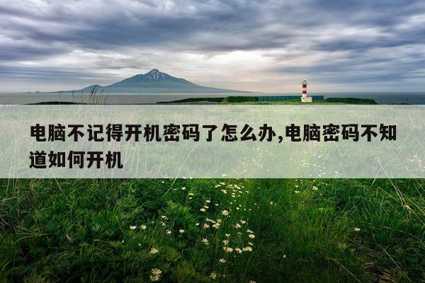 电脑不记得开机密码了怎么办,电脑密码不知道如何开机