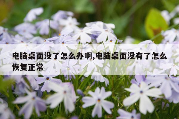 电脑桌面没了怎么办啊,电脑桌面没有了怎么恢复正常