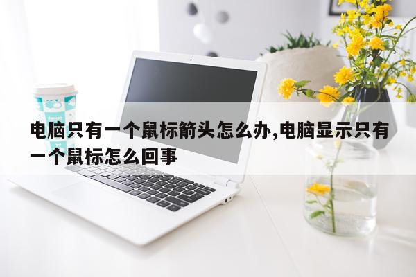 电脑只有一个鼠标箭头怎么办,电脑显示只有一个鼠标怎么回事
