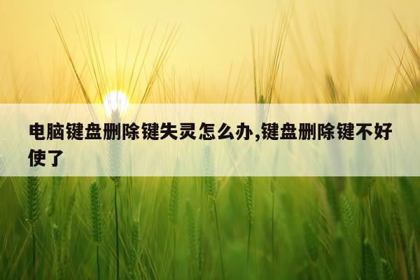 电脑键盘删除键失灵怎么办,键盘删除键不好使了