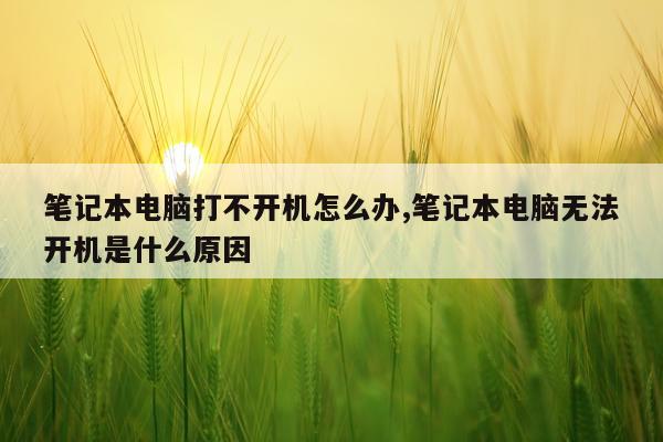 笔记本电脑打不开机怎么办,笔记本电脑无法开机是什么原因