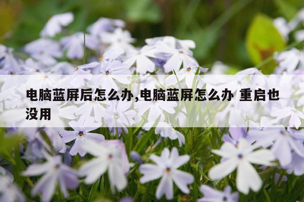电脑蓝屏后怎么办,电脑蓝屏怎么办 重启也没用