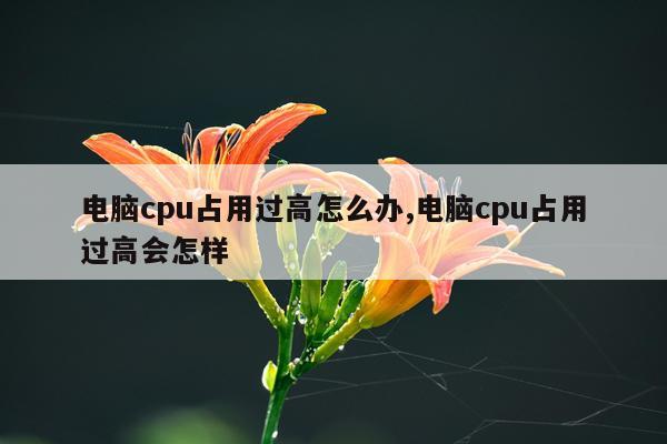 电脑cpu占用过高怎么办,电脑cpu占用过高会怎样