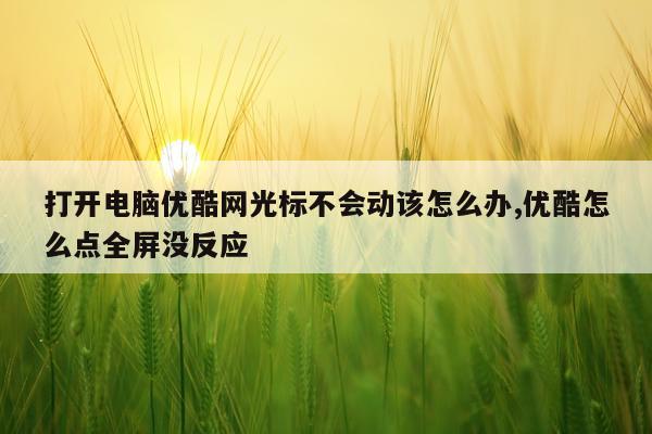 打开电脑优酷网光标不会动该怎么办,优酷怎么点全屏没反应