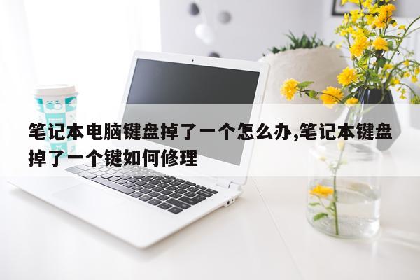 笔记本电脑键盘掉了一个怎么办,笔记本键盘掉了一个键如何修理