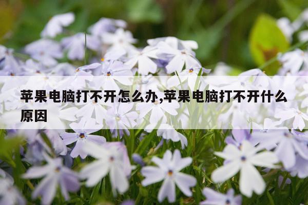 苹果电脑打不开怎么办,苹果电脑打不开什么原因