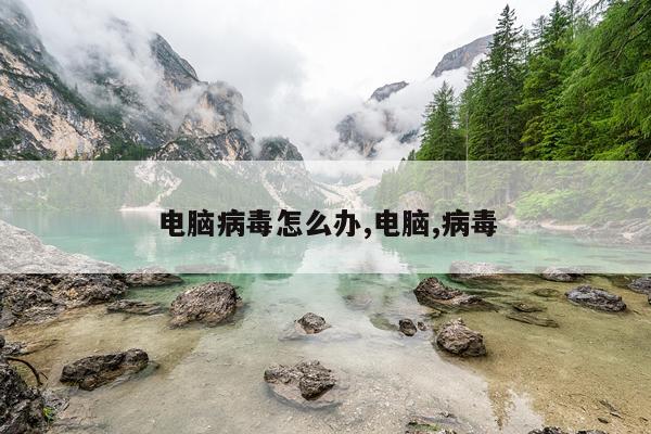 电脑病毒怎么办,电脑,病毒