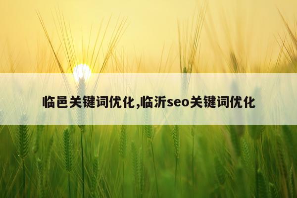 临邑关键词优化,临沂seo关键词优化