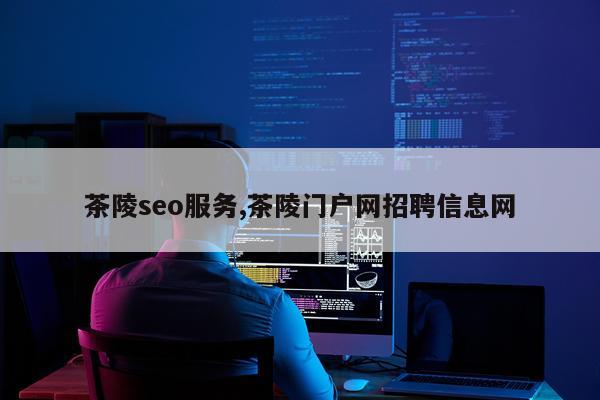 茶陵seo服务,茶陵门户网招聘信息网