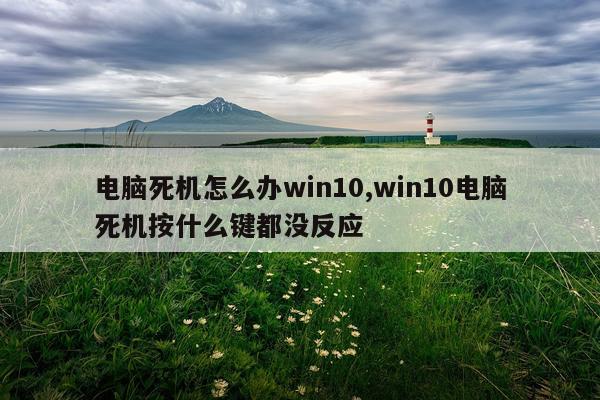 电脑死机怎么办win10,win10电脑死机按什么键都没反应