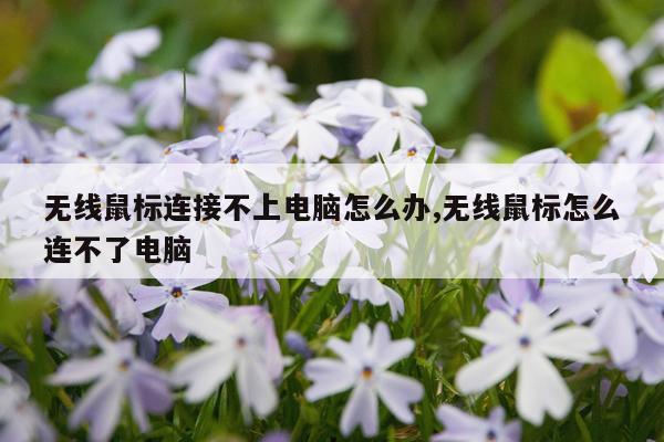 无线鼠标连接不上电脑怎么办,无线鼠标怎么连不了电脑