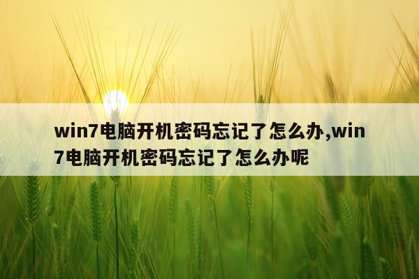 win7电脑开机密码忘记了怎么办,win7电脑开机密码忘记了怎么办呢