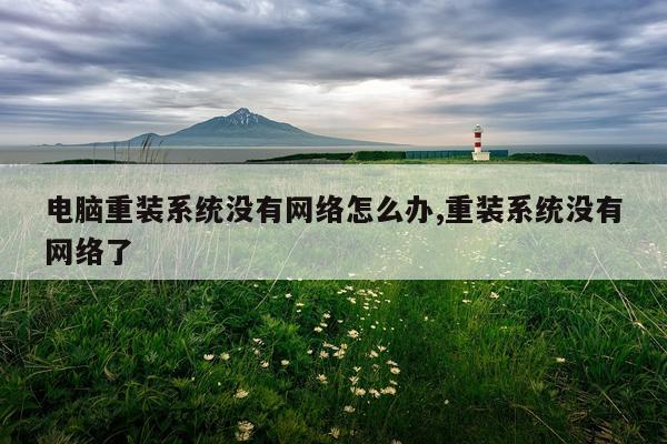电脑重装系统没有网络怎么办,重装系统没有网络了