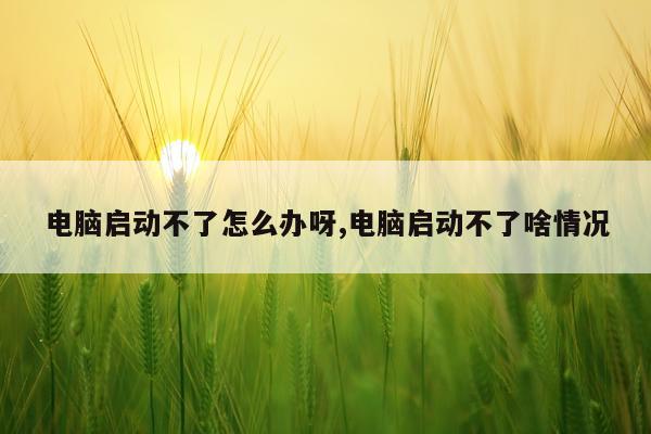 电脑启动不了怎么办呀,电脑启动不了啥情况