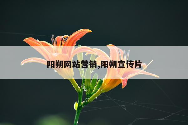 阳朔网站营销,阳朔宣传片