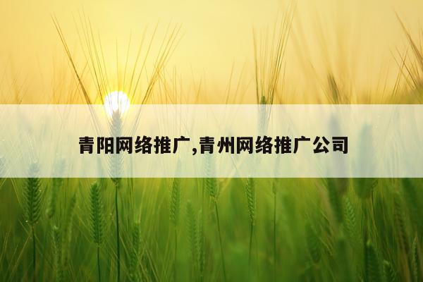 青阳网络推广,青州网络推广公司