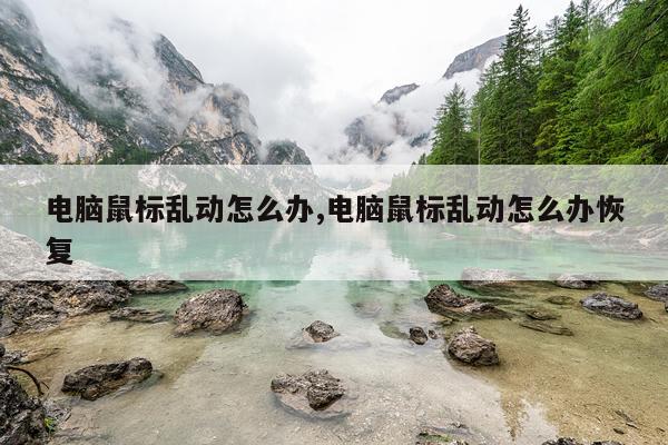 电脑鼠标乱动怎么办,电脑鼠标乱动怎么办恢复