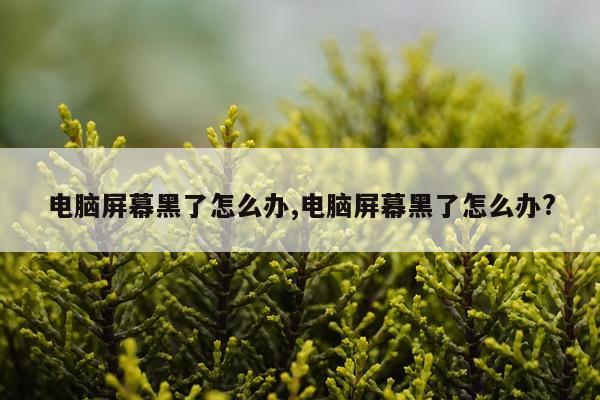 电脑屏幕黑了怎么办,电脑屏幕黑了怎么办?