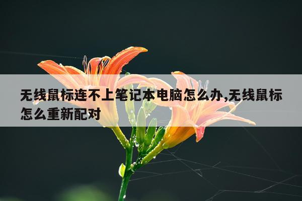 无线鼠标连不上笔记本电脑怎么办,无线鼠标怎么重新配对