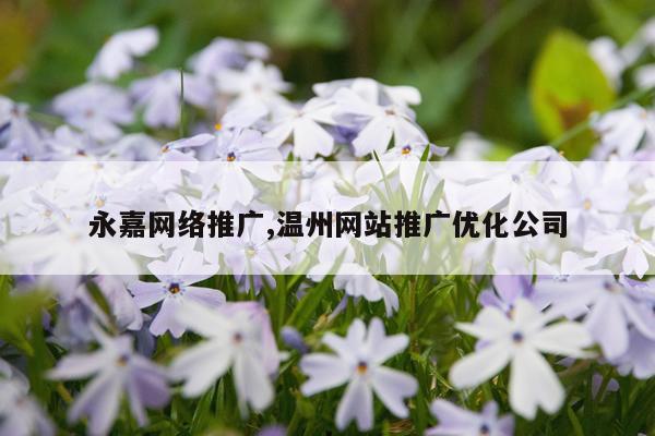 永嘉网络推广,温州网站推广优化公司