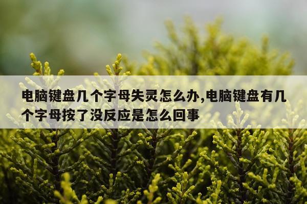 电脑键盘几个字母失灵怎么办,电脑键盘有几个字母按了没反应是怎么回事