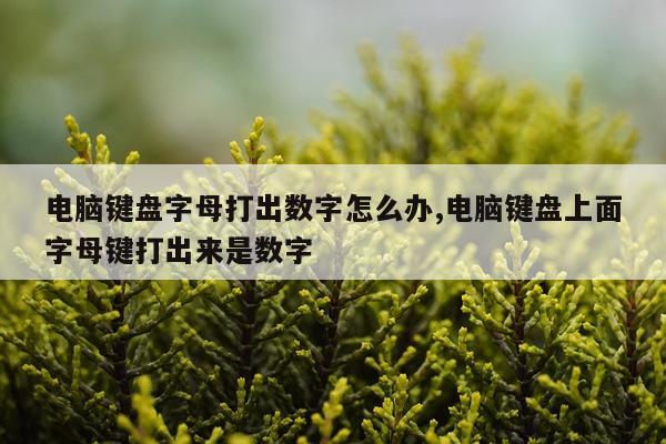 电脑键盘字母打出数字怎么办,电脑键盘上面字母键打出来是数字