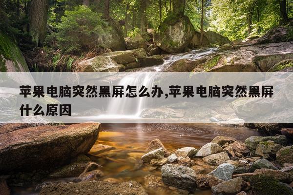苹果电脑突然黑屏怎么办,苹果电脑突然黑屏什么原因
