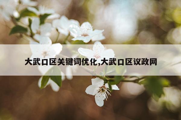 大武口区关键词优化,大武口区议政网
