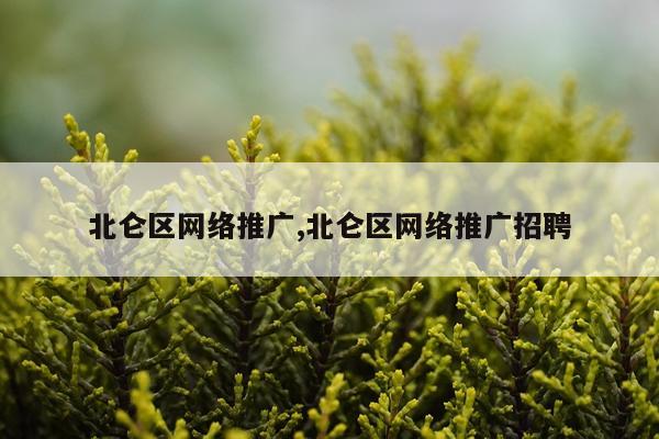 北仑区网络推广,北仑区网络推广招聘