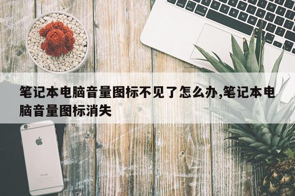 笔记本电脑音量图标不见了怎么办,笔记本电脑音量图标消失
