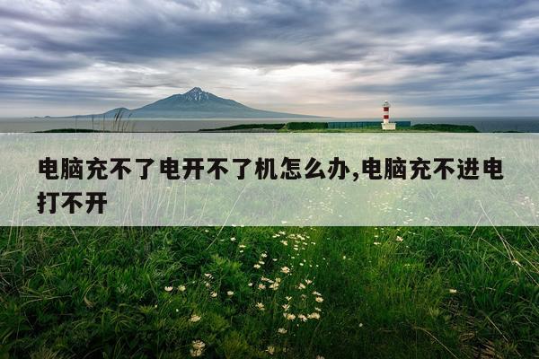 电脑充不了电开不了机怎么办,电脑充不进电打不开