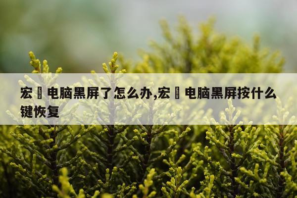 宏碁电脑黑屏了怎么办,宏碁电脑黑屏按什么键恢复