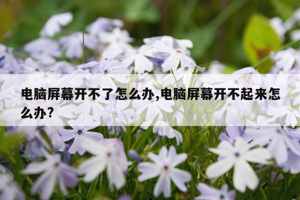 电脑屏幕开不了怎么办,电脑屏幕开不起来怎么办?