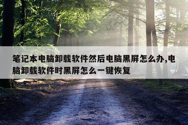 笔记本电脑卸载软件然后电脑黑屏怎么办,电脑卸载软件时黑屏怎么一键恢复