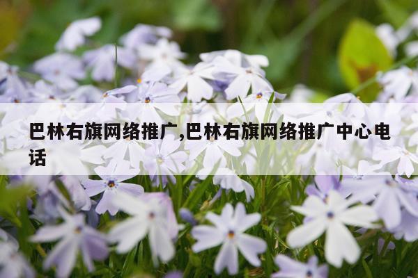 巴林右旗网络推广,巴林右旗网络推广中心电话