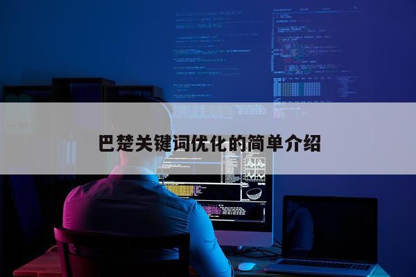 巴楚关键词优化的简单介绍