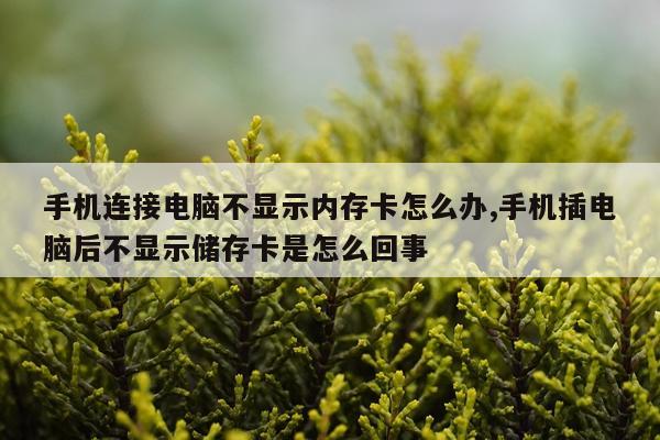 手机连接电脑不显示内存卡怎么办,手机插电脑后不显示储存卡是怎么回事