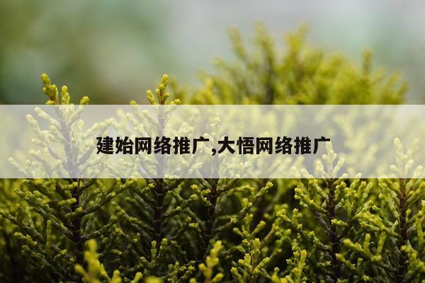 建始网络推广,大悟网络推广