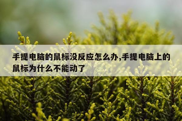 手提电脑的鼠标没反应怎么办,手提电脑上的鼠标为什么不能动了