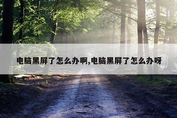 电脑黑屏了怎么办啊,电脑黑屏了怎么办呀