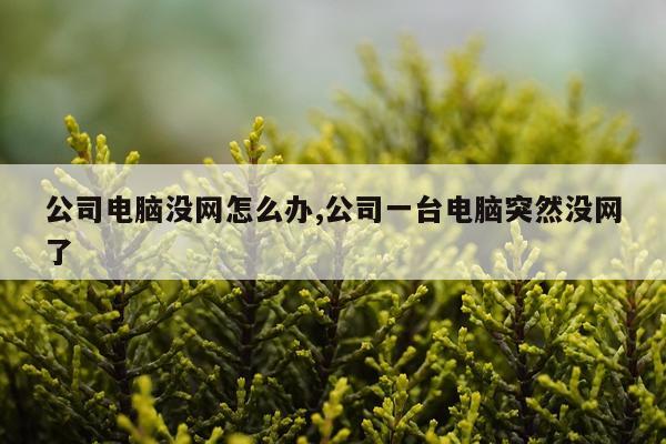 公司电脑没网怎么办,公司一台电脑突然没网了