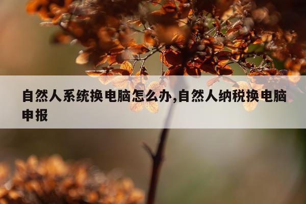 自然人系统换电脑怎么办,自然人纳税换电脑申报