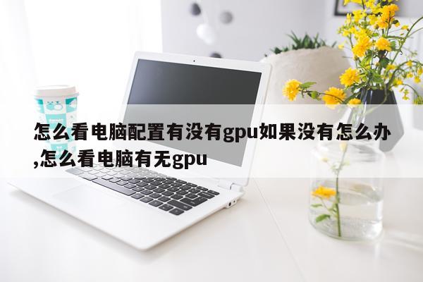 怎么看电脑配置有没有gpu如果没有怎么办,怎么看电脑有无gpu