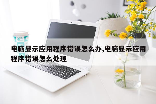 电脑显示应用程序错误怎么办,电脑显示应用程序错误怎么处理