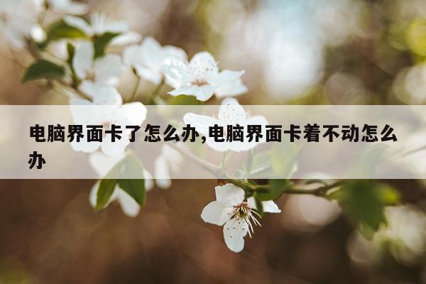 电脑界面卡了怎么办,电脑界面卡着不动怎么办