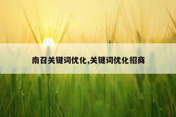 南召关键词优化,关键词优化招商