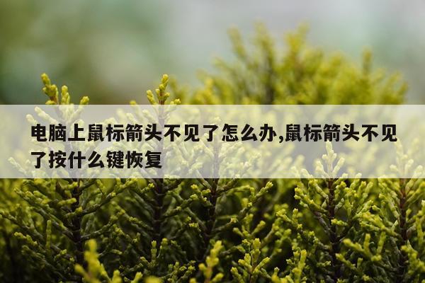 电脑上鼠标箭头不见了怎么办,鼠标箭头不见了按什么键恢复